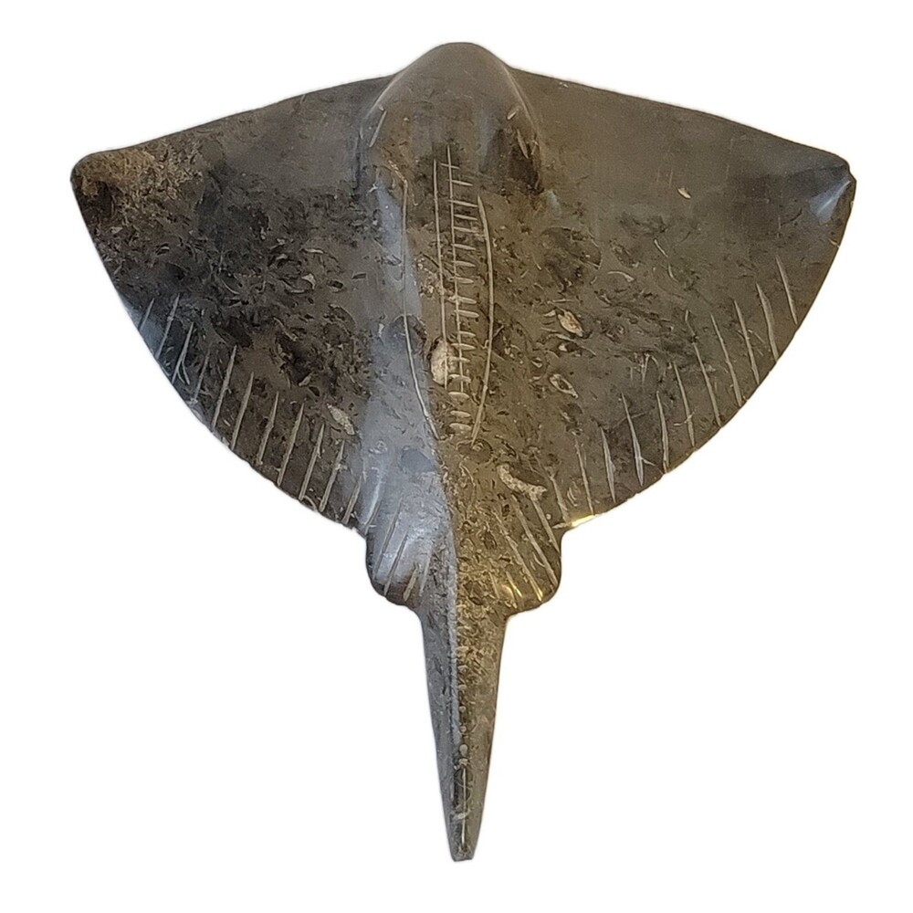 Hand Carved Fossilized Stone Stingray Sculpture 8" Across x 9" Long x 1.5" Thick